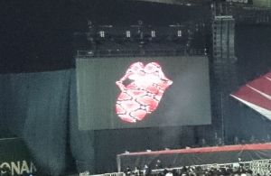 The Rolling Stones 14 on fire Japan Tour