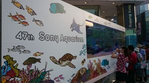 47ｔｈ Sony Aquarium