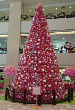 香港　クリスマス視察