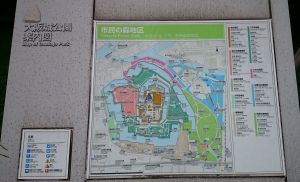 初めての大阪城