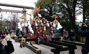 浅草神社のお御輿