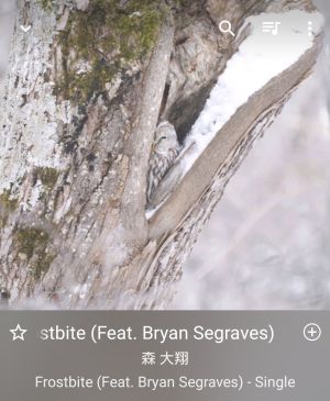 Frostbite (Feat. Bryan Segraves) / 森 大翔
