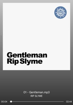 Gentleman / Rip Slyme