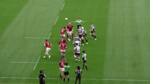2024-2025リーグワン プレーオフトーナメント決勝 ブレイブルーパス東京 vs スピアーズ船橋・東京ベイ 2024-2025リーグワン プレーオフトーナメント決勝 ブレイブルーパス東京 vs スピアーズ船橋・東京ベイ