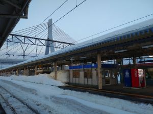 今年も青森に行ってきた